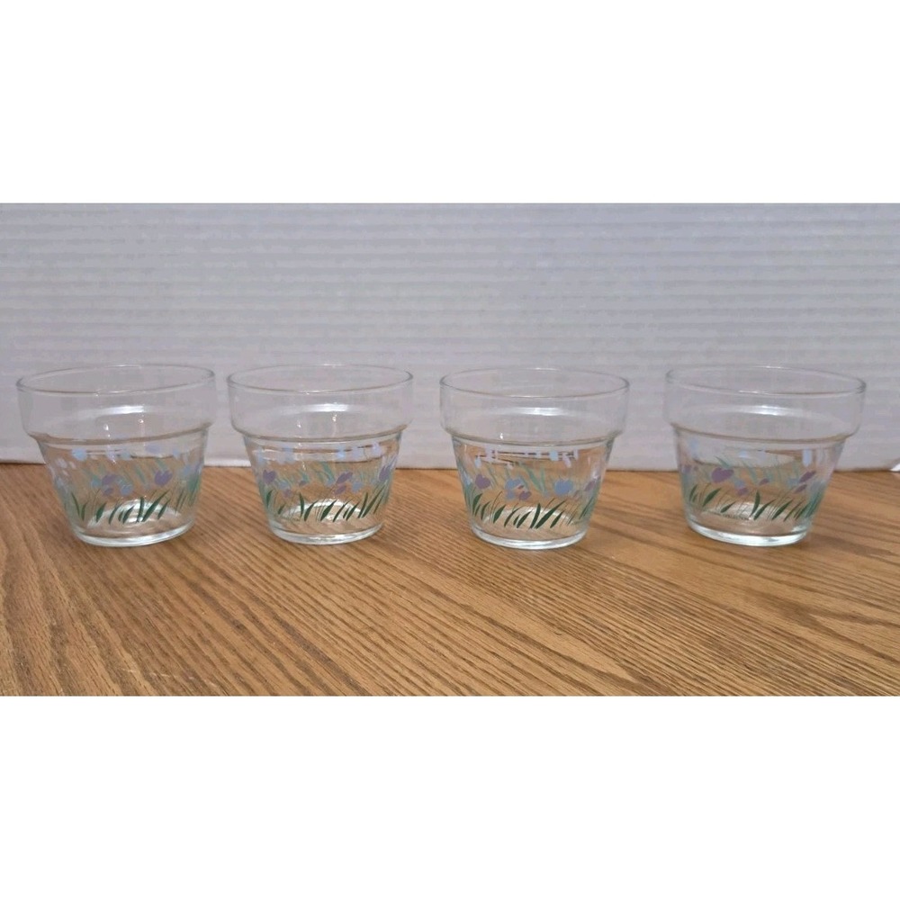 Ponderosa Floral Collection Tulip Fruit Dessert Glasses Vintage 80's Set of 4